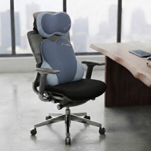Coussin Ergonomique de Confort